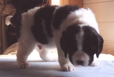 Klicken, um das Bild zu vergr��ern.